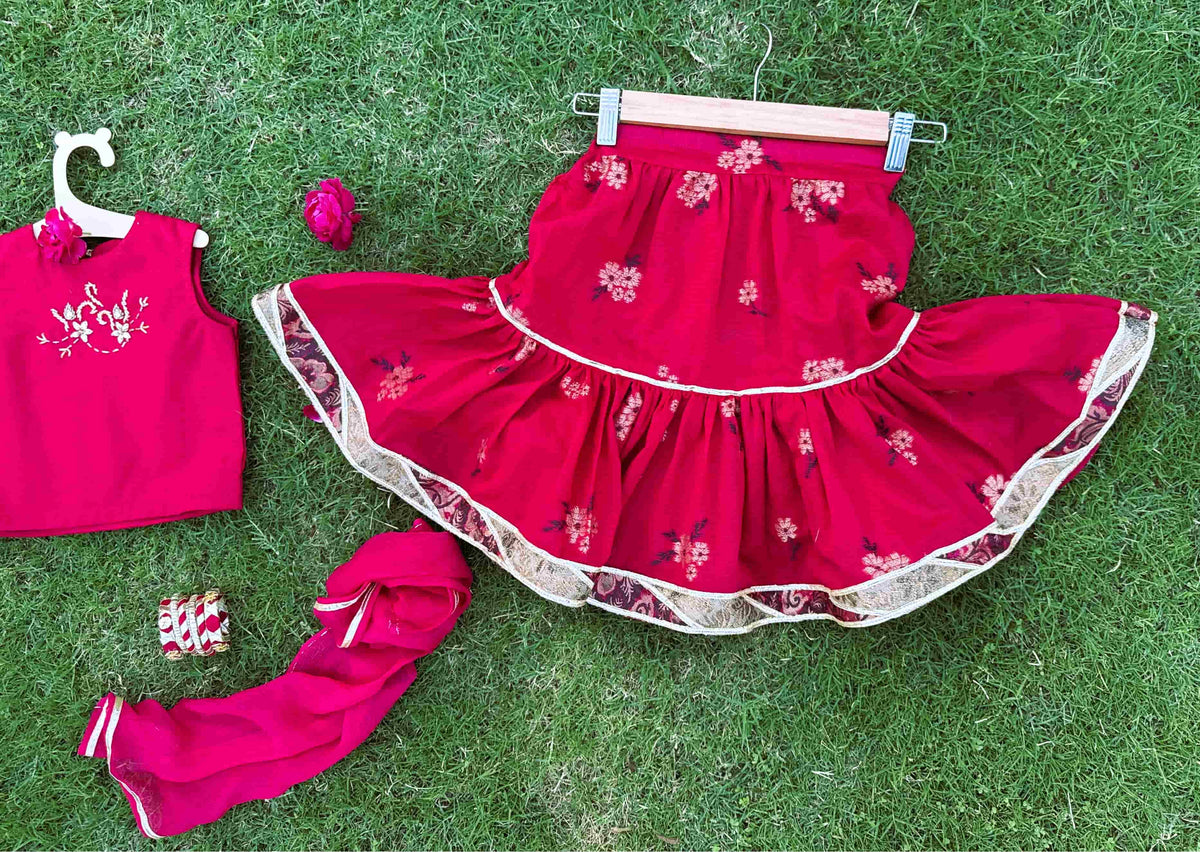 Gulabi Cholli Lehnga