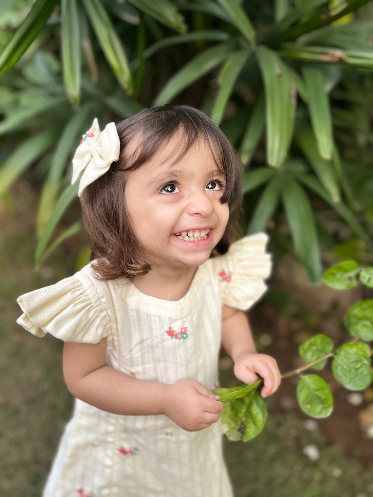 Fairytale “Daisy”