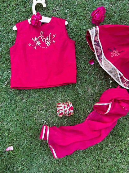Gulabi Cholli Lehnga