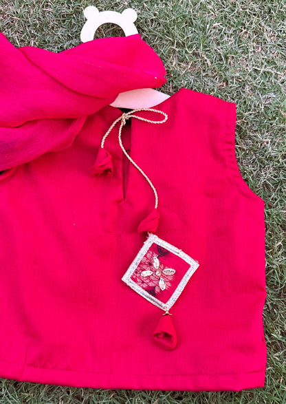 Gulabi Cholli Lehnga