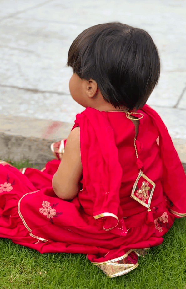 Gulabi Cholli Lehnga