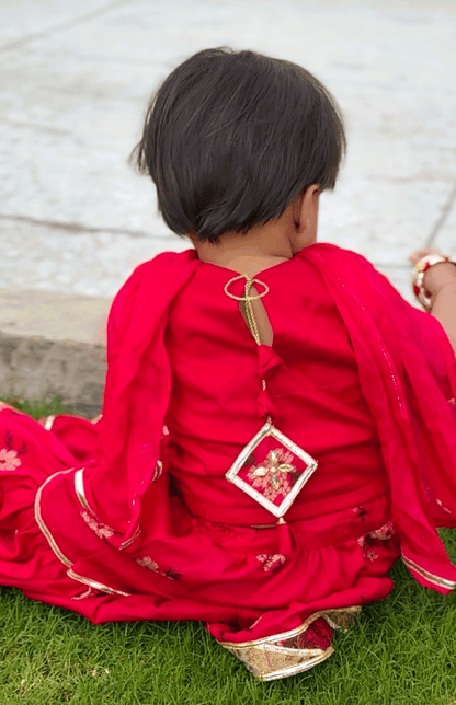 Gulabi Cholli Lehnga