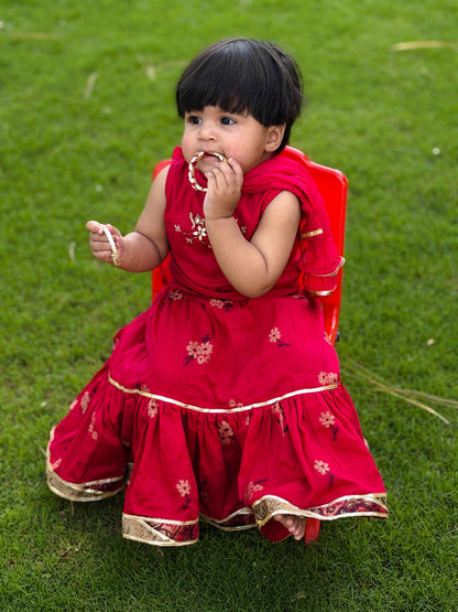 Gulabi Cholli Lehnga