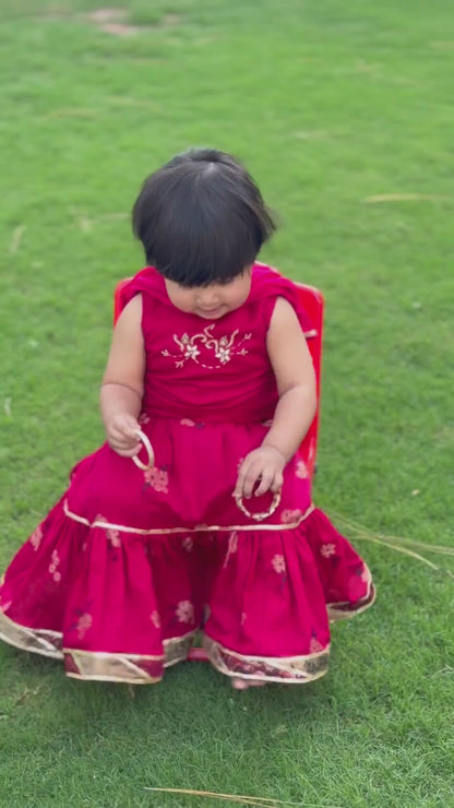 Gulabi Cholli Lehnga